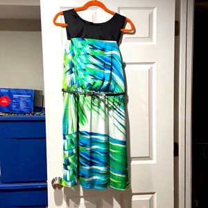 ⬇️Beautiful belted sleeveless Dress. Size 10